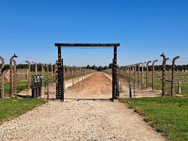 Das Gespenst des Faschismus